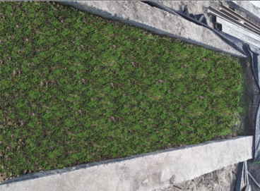 beat365(�й���)-Ψһ�ٷ���վ