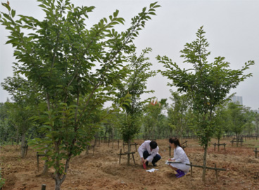 beat365(�й���)-Ψһ�ٷ���վ