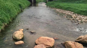 beat365(�й���)-Ψһ�ٷ���վ