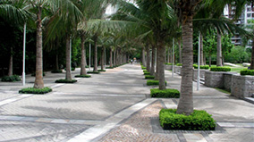 beat365(�й���)-Ψһ�ٷ���վ