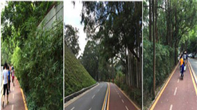 beat365(�й���)-Ψһ�ٷ���վ