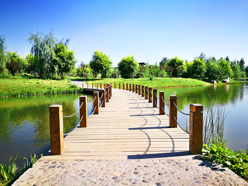 0dc03773-6363-4150-afe9-2a41892430b1