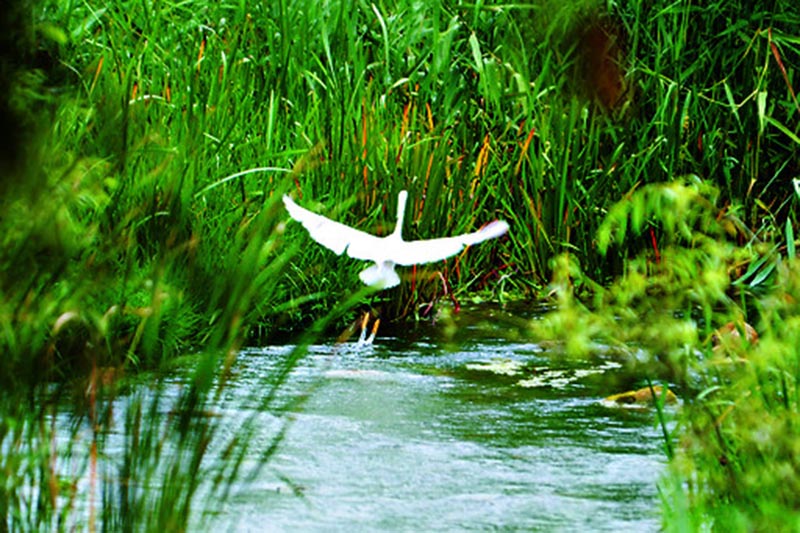 598496cb-9c2f-4a5c-a0bb-ebc66e473200