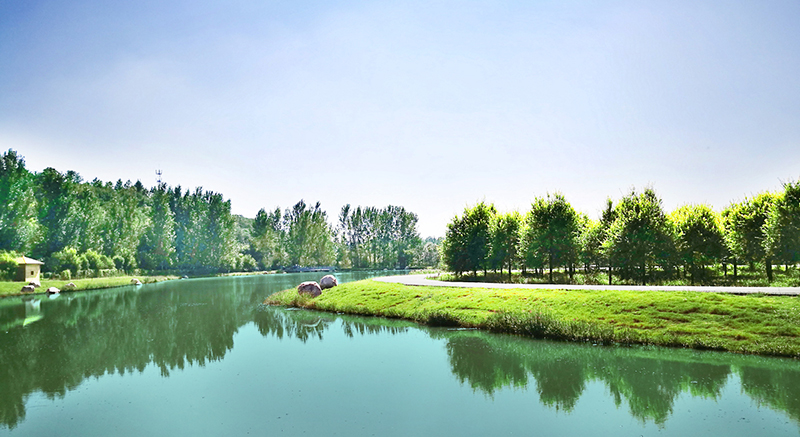 ac45e811-6e1b-407f-a8e8-38e84e099c12