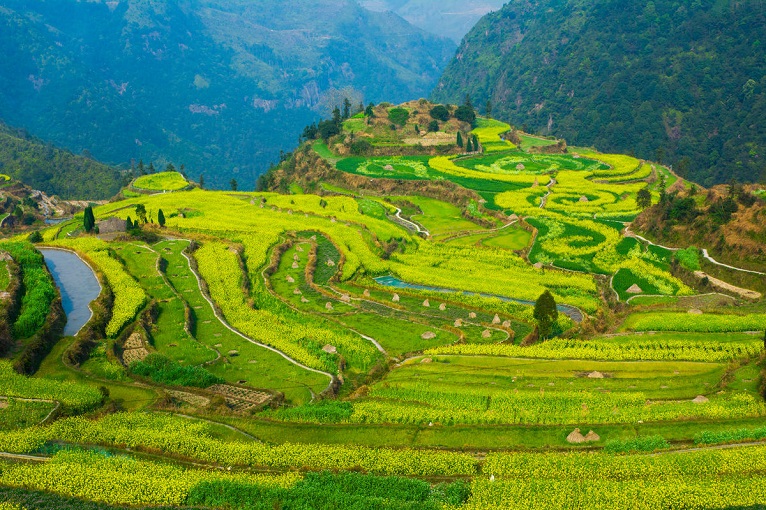 e216cf20-93d9-4466-841e-5be8f5fdcd34 e216cf20-93d9-4466-841e-5be8f5fdcd34