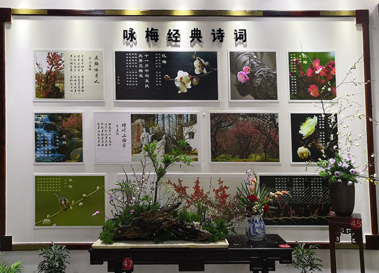 436d19a0-1834-4bf1-af26-33a2c6a022c0