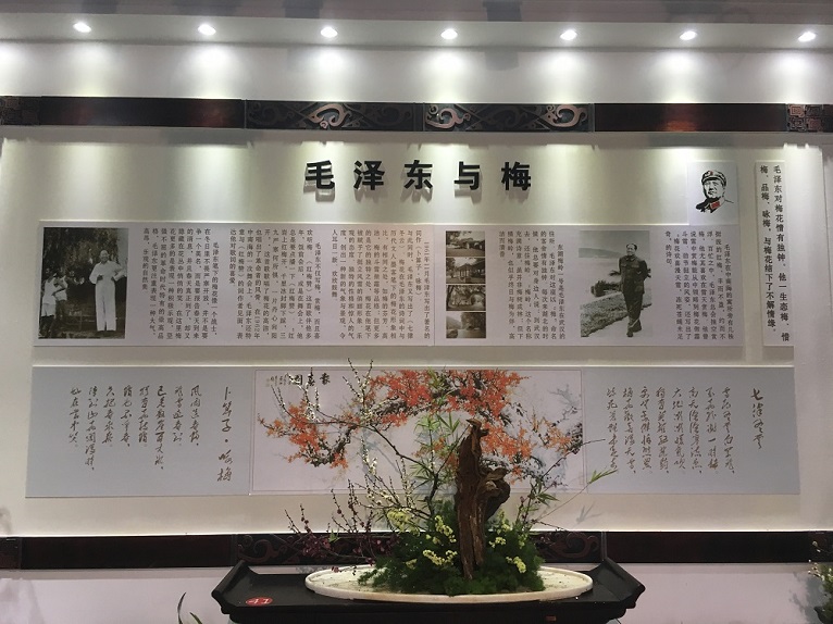 5cec4892-421d-4b0b-9787-e32876bb086e