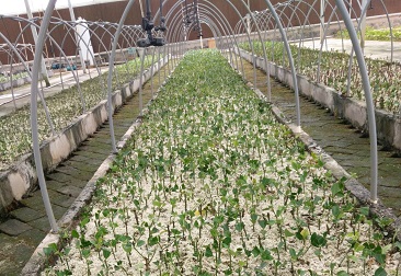 beat365(�й���)-Ψһ�ٷ���վ