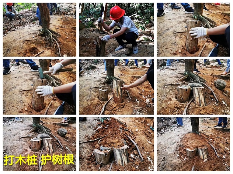 35acb8b3-fbbc-4ea6-be0c-259e4a733cab 35acb8b3-fbbc-4ea6-be0c-259e4a733cab