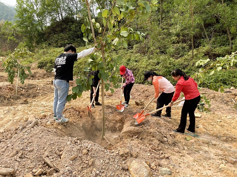 87e17ff6-5e6d-4804-9f12-7e1dd196804b 87e17ff6-5e6d-4804-9f12-7e1dd196804b