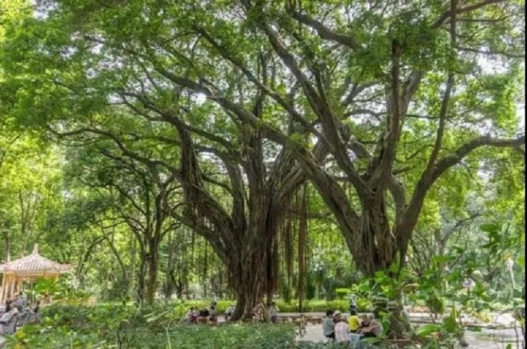 769e1333-4bd2-41cc-8f14-a41275fa9b79