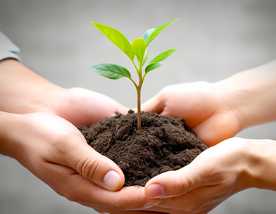 55597d32-8719-4e4a-89a3-e61ee000c933