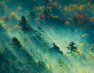 825fc4de-4869-4a2e-8b9f-57d2bf5ace76