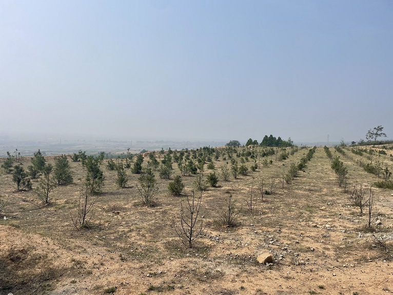 d2b9e342-08bb-4fc6-b2ee-ebbb8bb9f0e7