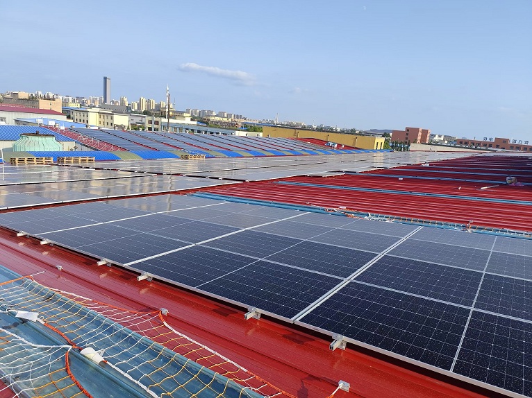 66fb91a9-5eaf-440c-b5c8-06e6e5523cc8 66fb91a9-5eaf-440c-b5c8-06e6e5523cc8