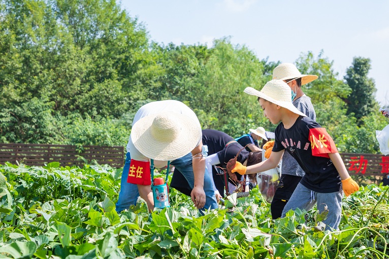 5f53a5c7-0772-4364-ad4a-b015173c3ccb