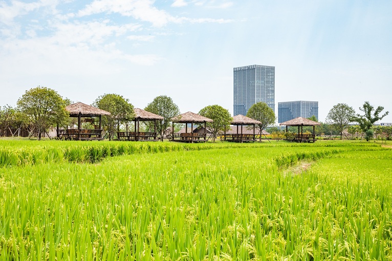 62f091a1-b05a-4c10-9724-4b72e9ed07f2