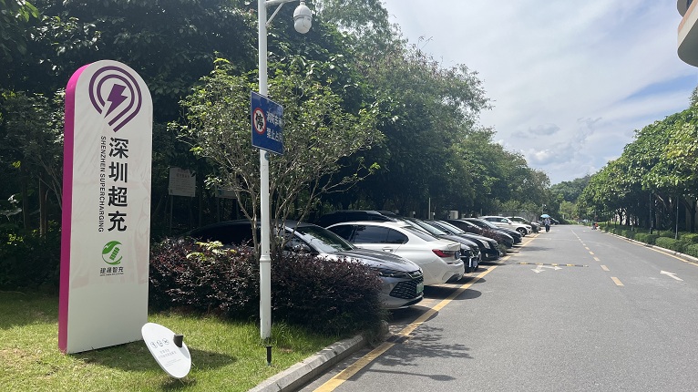 9d02612d-13e0-495a-8a56-66f22af23dd4