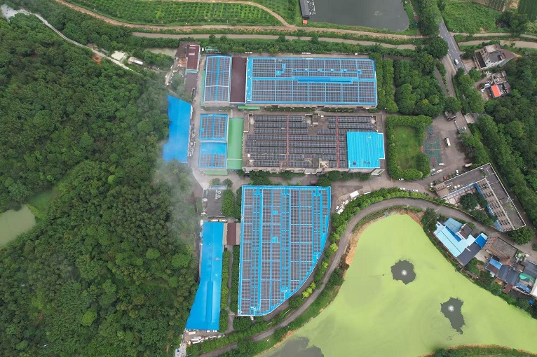 b16ab4d8-2856-4cc5-8a0f-49e7a7893d53