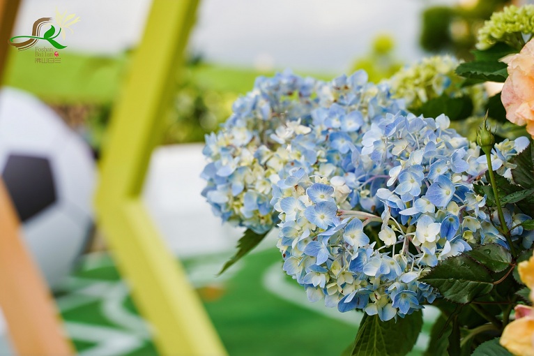 aae86ff9-c5a9-46d5-9cbc-099e43d6d64d aae86ff9-c5a9-46d5-9cbc-099e43d6d64d