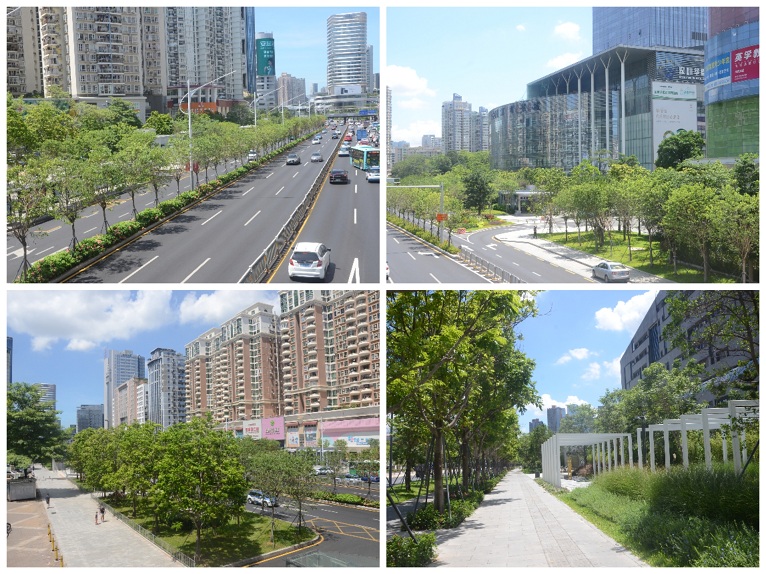 39e199aa-d740-44f4-8ca2-8f98d4af0919