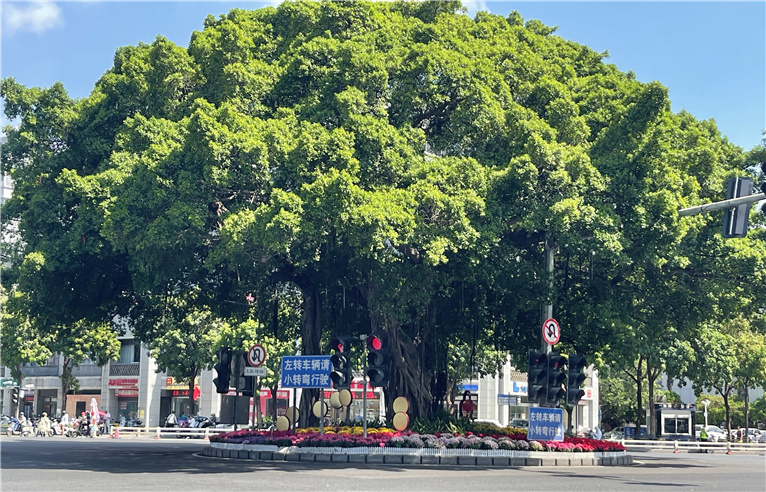 2f852527-8c15-4df2-8396-da1aa945ab5e