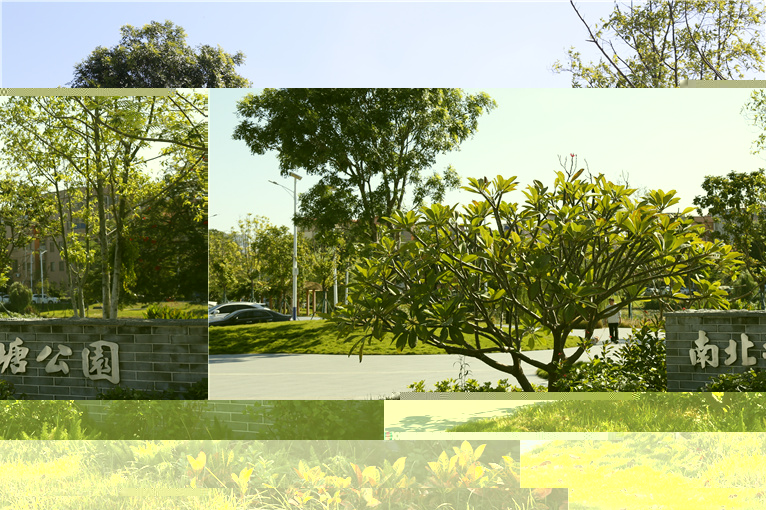 300fcf61-f3d8-4db9-b458-d57df5884fbd